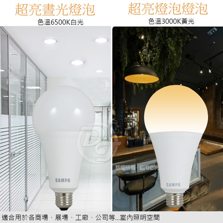 SAMPO聲寶 30WLED節能燈泡 白光/黃光(1入)-細節圖7