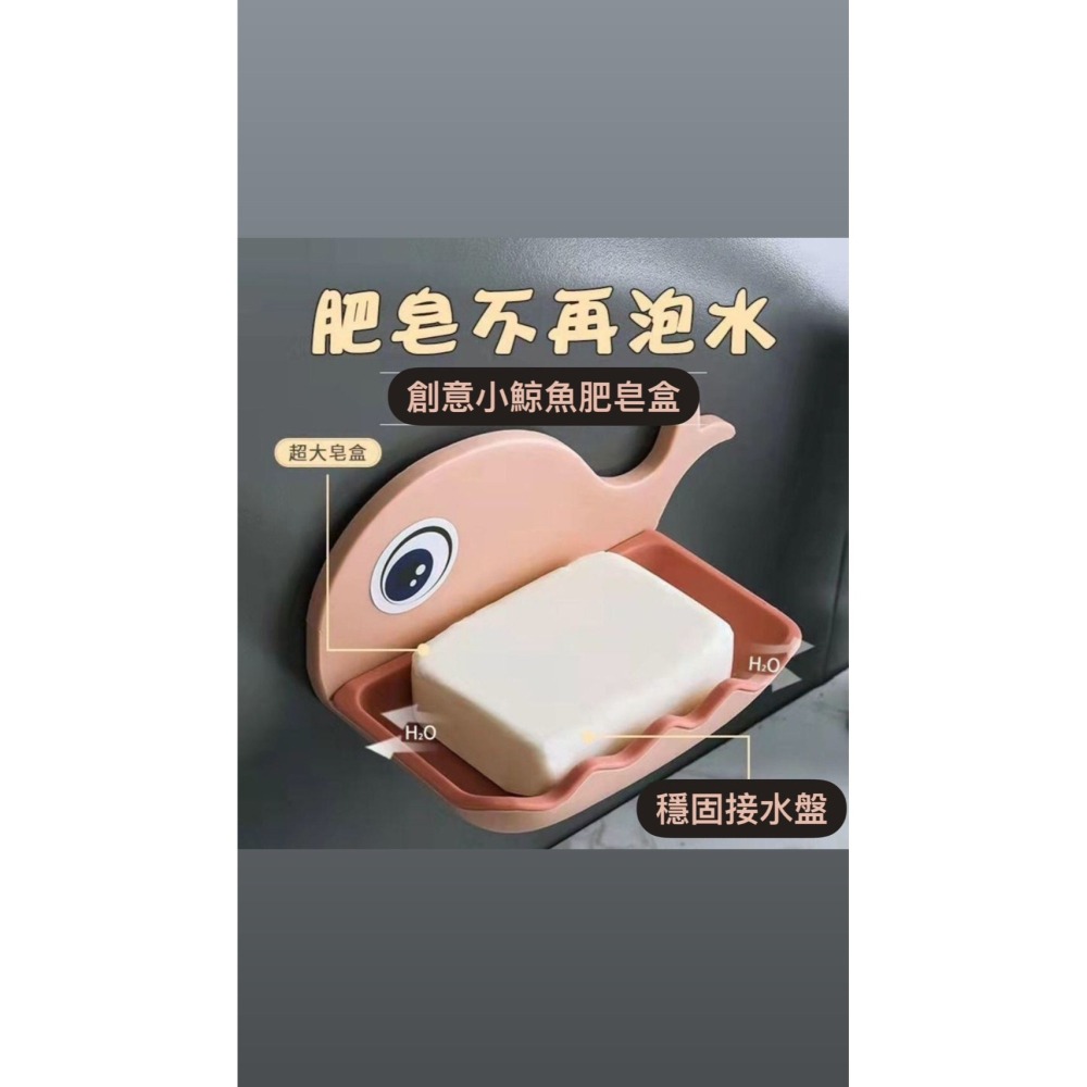 （現貨）好了好樂享生活-小鯨魚肥皂盒 肥皂架 卡通鯨魚香皂盒 瀝水架 肥皂盤 置物架 菜瓜布架 收納架 免打孔 收納方便-細節圖5