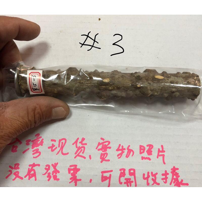 (15公分) 花椒木站桿 鸚鵡磨爪棒 虎皮 牡丹 玄鳳 小太陽 棲息桿 護足 鸚鵡 玩具用品-細節圖4