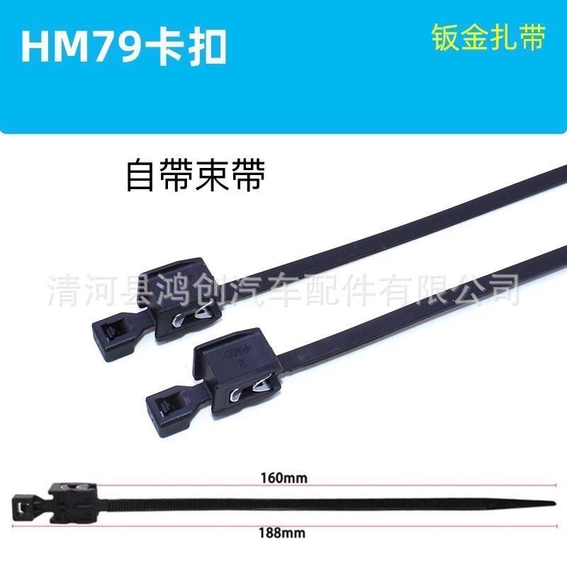 （2個）汽車鈑金 扎帶 束帶 線路管路固定 邊緣 天窗 車窗 束帶夾子 線束固定 鋼鐵卡扣-細節圖5