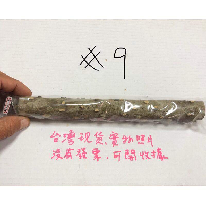 (25公分) 花椒木站桿 鸚鵡磨爪棒 虎皮 牡丹 玄鳳 小太陽 棲息桿 護足 鸚鵡 玩具用品-細節圖9