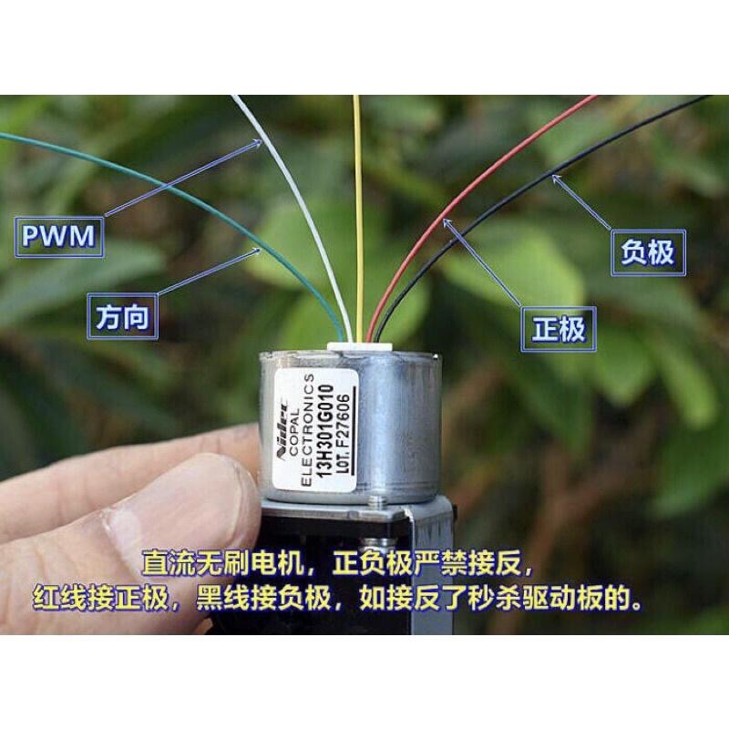 日本（Nidec）內轉子 帶蝸輪齒輪箱 微型無刷電機 DC12V 內置驅動板 可正反轉-細節圖6