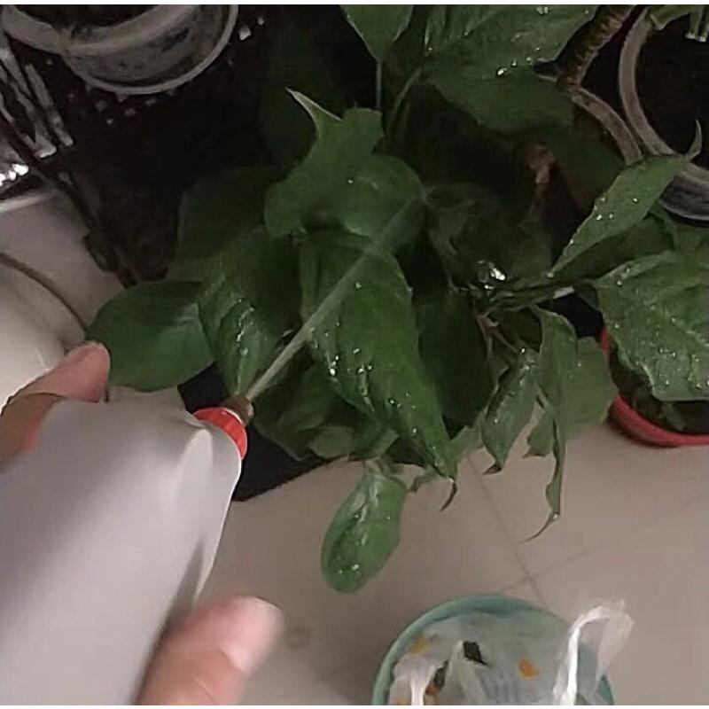 (庫存品) 電動 充電式 噴霧器  養花 澆水 噴水器 澆花神器-細節圖7