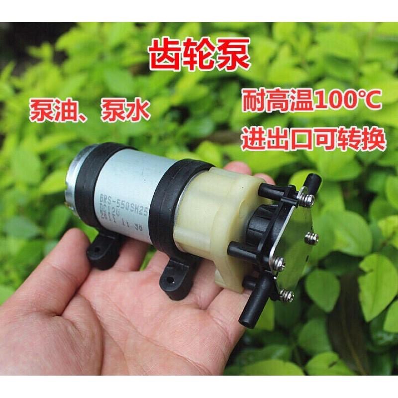 全新庫存 12V 550 齒輪泵 耐高溫 循環泵 抽油泵 高壓泵 換機油 齒輪油-細節圖2