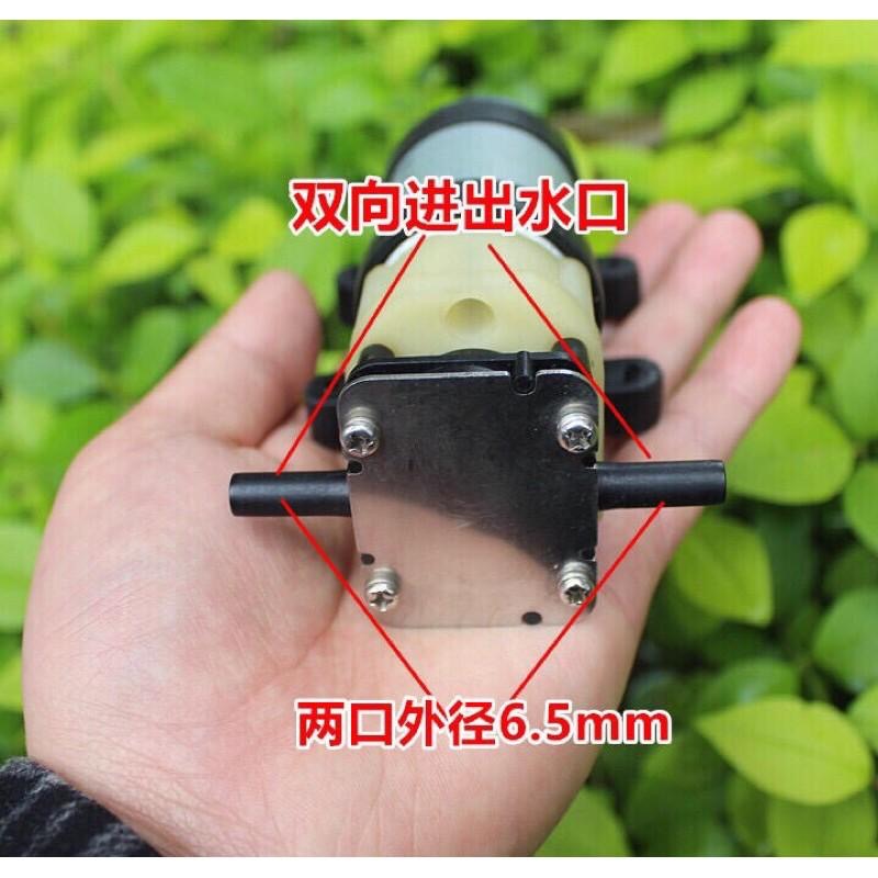 全新庫存 12V 550 齒輪泵 耐高溫 循環泵 抽油泵 高壓泵 換機油 齒輪油-細節圖3