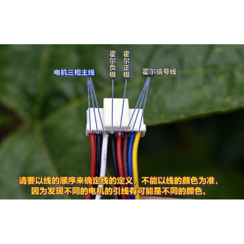 775 三相八線 內轉子 雙軸承 雙出軸 DC20V 10000 轉 大功率40W 無刷電機 高品質-細節圖6
