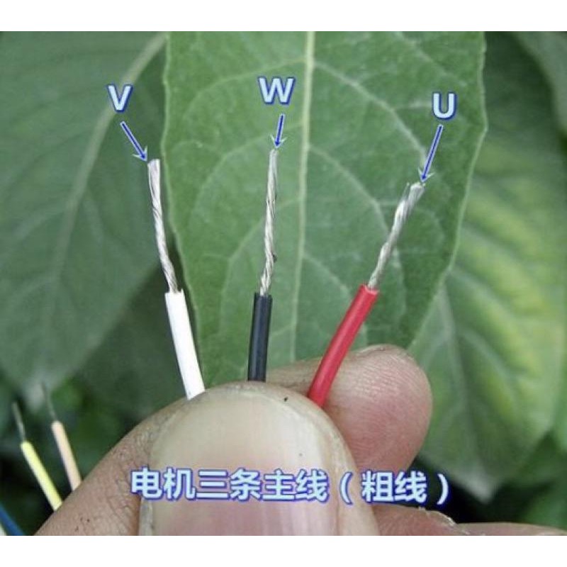 (全新庫存) 日本(信濃)直流無刷電機 DC36V-105V 雙滾珠軸承 靜音 大扭力-細節圖7