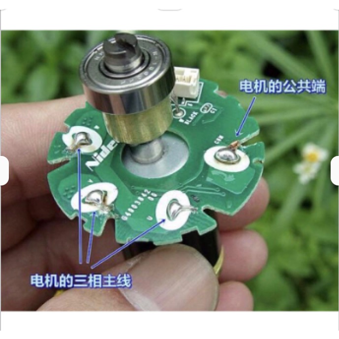 (全新庫存) 尼得科 內轉子 雙滾珠軸承 DC12V-24V 高速 直流 無刷 電機 馬達 帶霍爾-細節圖7