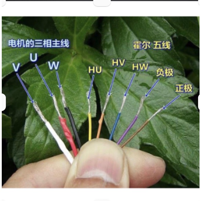 (全新庫存) 尼得科 內轉子 雙滾珠軸承 DC12V-24V 高速 直流 無刷 電機 馬達 帶霍爾-細節圖9