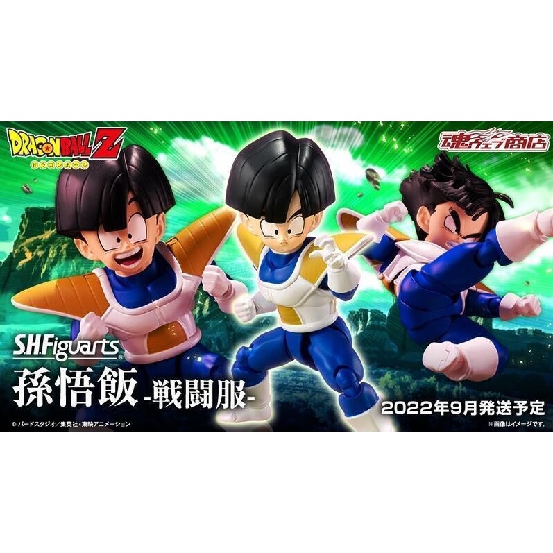 BANDAI S.H.Figuarts SHF 七龍珠Z 孫悟飯 戰鬥服