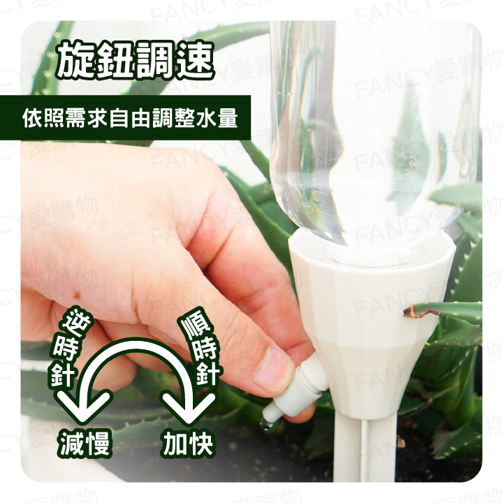 Fancy愛購物🛍️【台灣公司現貨 自動澆花器🌼💧】自動澆水器 澆花神器 澆水神器 澆花 滴水器 澆花器 滲水器-細節圖3