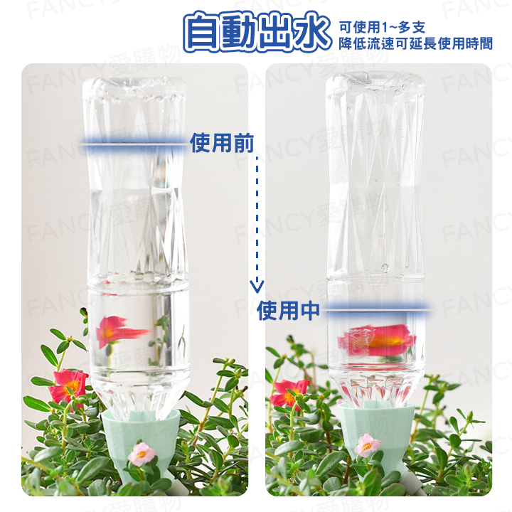 Fancy愛購物🛍️【台灣公司現貨 自動澆花器🌼💧】自動澆水器 澆花神器 澆水神器 澆花 滴水器 澆花器 滲水器-細節圖4