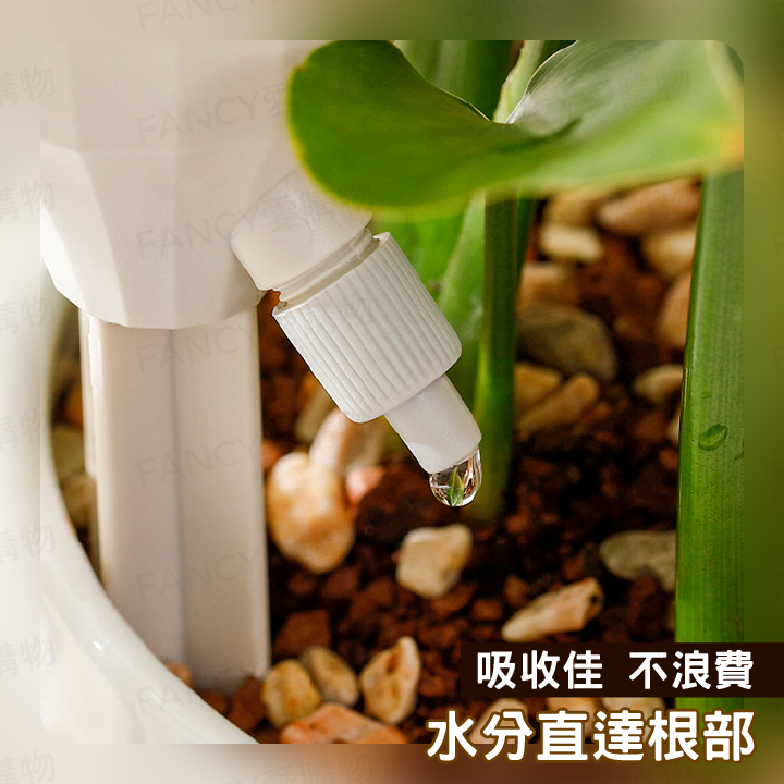 Fancy愛購物🛍️【台灣公司現貨 自動澆花器🌼💧】自動澆水器 澆花神器 澆水神器 澆花 滴水器 澆花器 滲水器-細節圖5