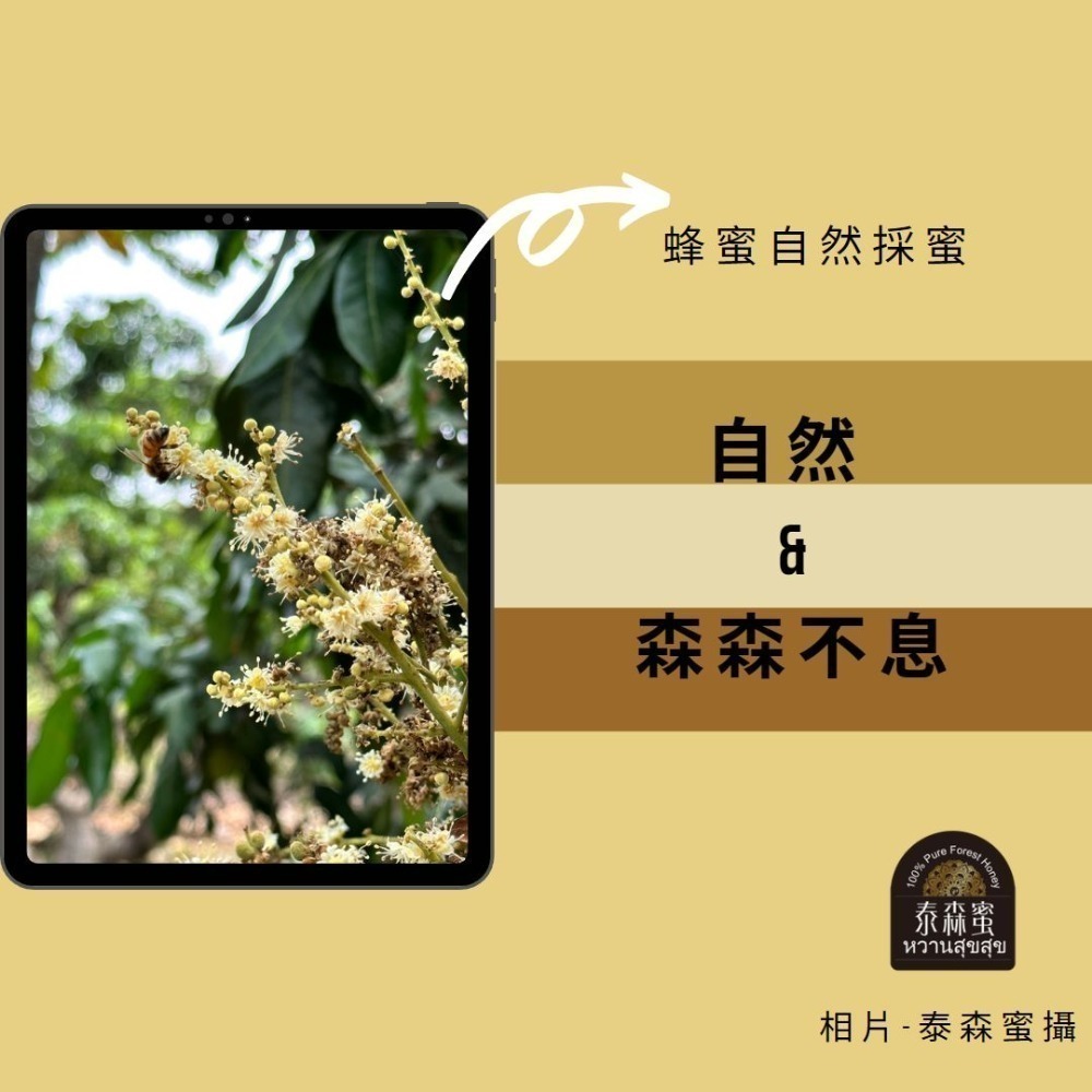 純蜂蜜 龍眼蜜 純花蜜 純天然 泰森蜜 (500g、2斤、3斤、5斤) 多項認證-細節圖3