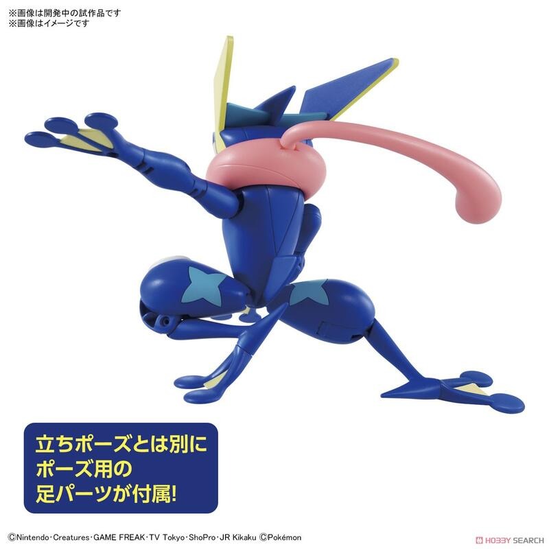 《GTS》BANDAI 模型 Pokémon PLAMO 收藏集 #47 甲賀忍蛙 5061798-細節圖3