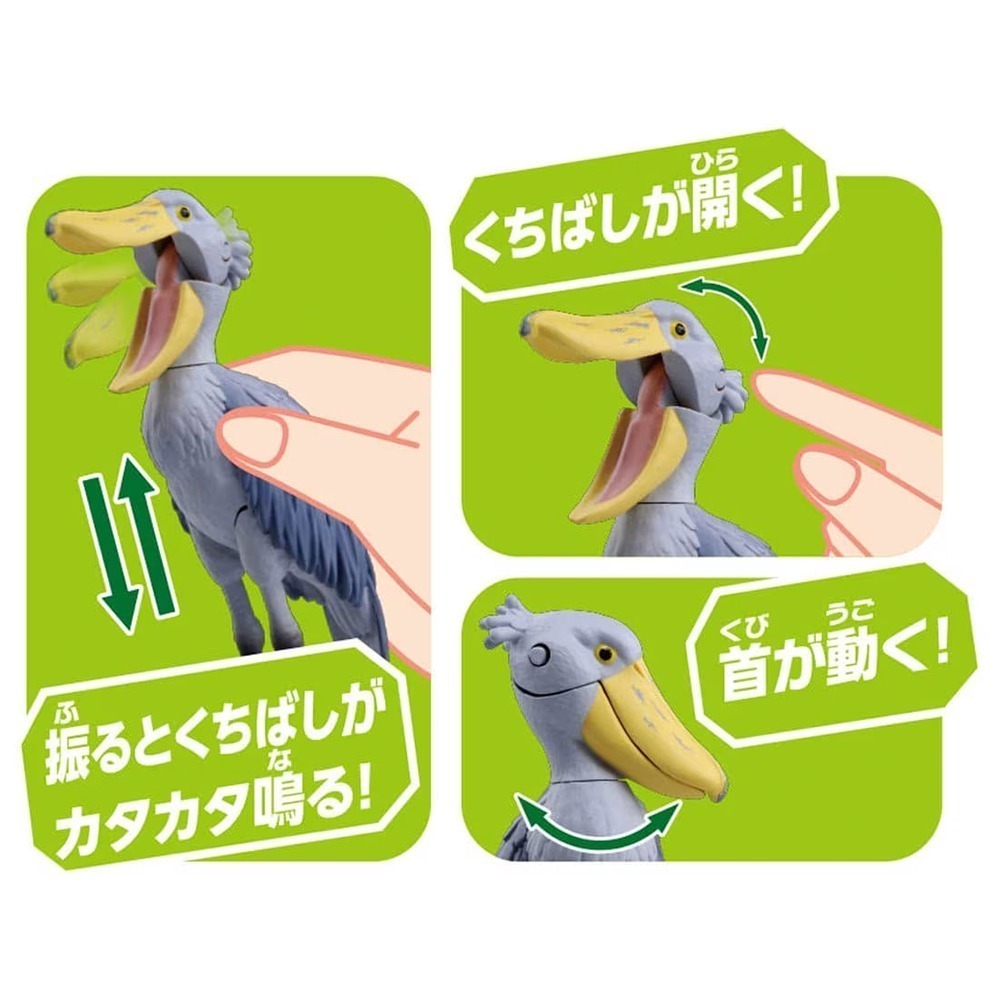 《GTS》 純日貨 TAKARA TOMY ANIA 多美動物 AS-22 鯨頭鸛 914785-細節圖2