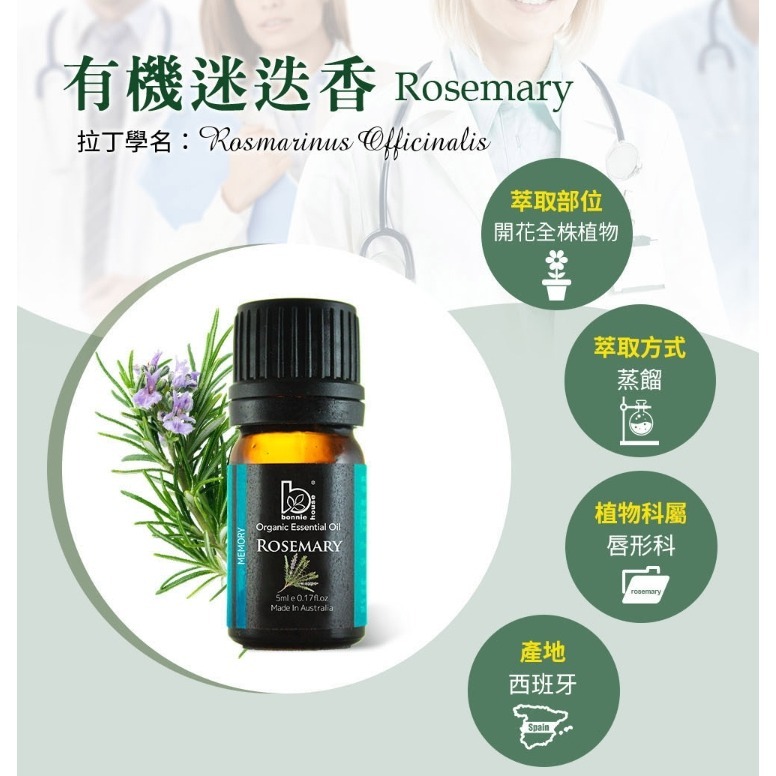 有機精油任選 5ml 10ml｜Bonnie House植享家 薰衣草 茶樹 尤加利 迷迭香 檸檬 雪松 薄荷-細節圖8
