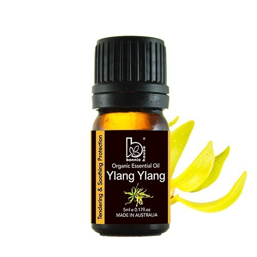 有機精油任選 5ml 10ml｜Bonnie House植享家 薰衣草 茶樹 尤加利 迷迭香 檸檬 雪松 薄荷-規格圖11