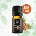 有機精油任選 5ml 10ml｜Bonnie House植享家 薰衣草 茶樹 尤加利 迷迭香 檸檬 雪松 薄荷-規格圖11