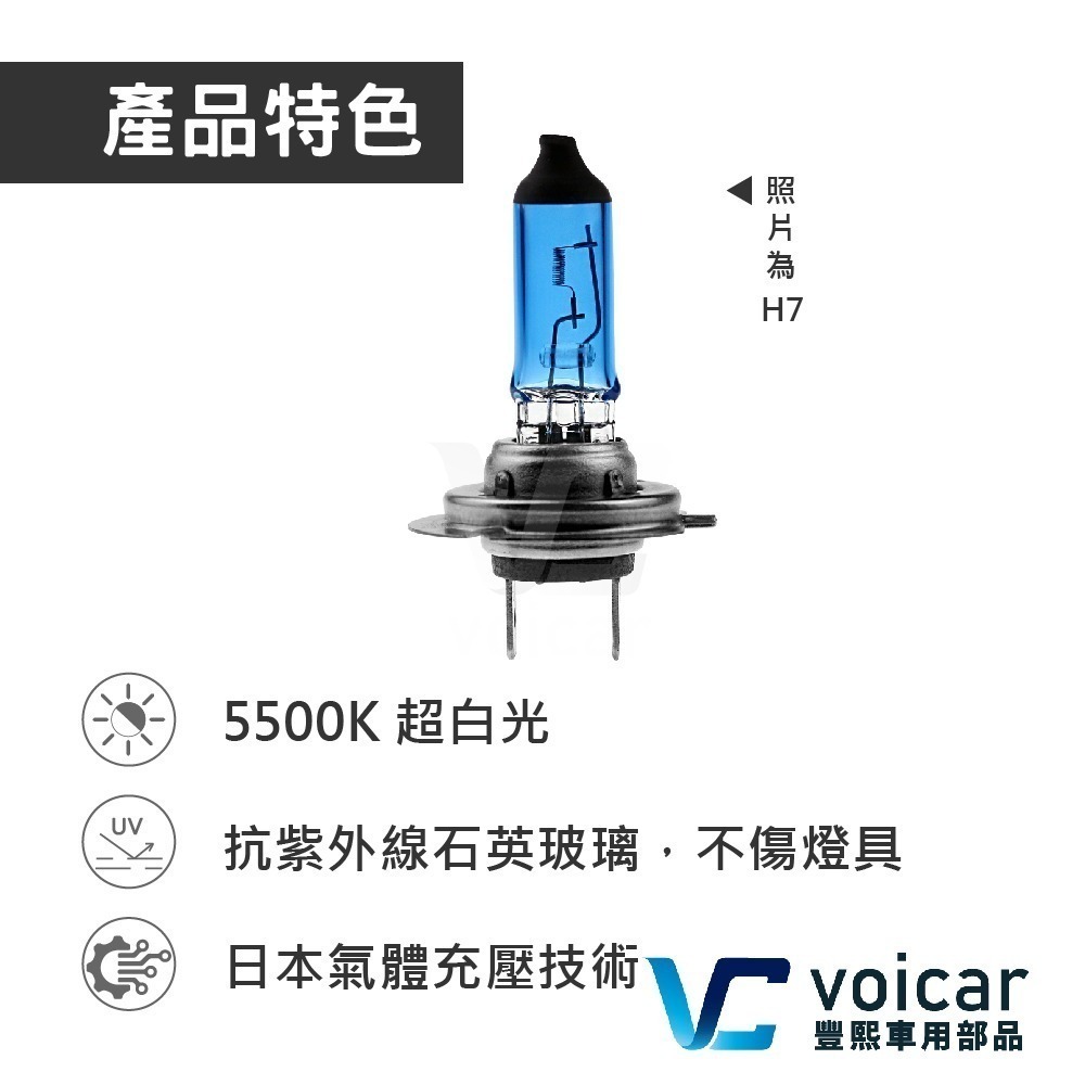 【最新】日本 MARUTA 超白光鹵素燈泡 H8 H9 H10 H11 H12 5500K-細節圖3