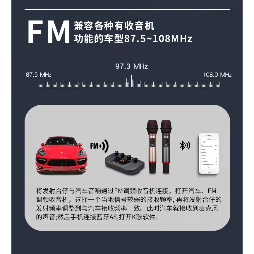 【台灣現貨】車載&電視＆電腦連接歡唱 車載K歌神器 FM全頻支援&AUX輸入 雙麥克風組合-細節圖3