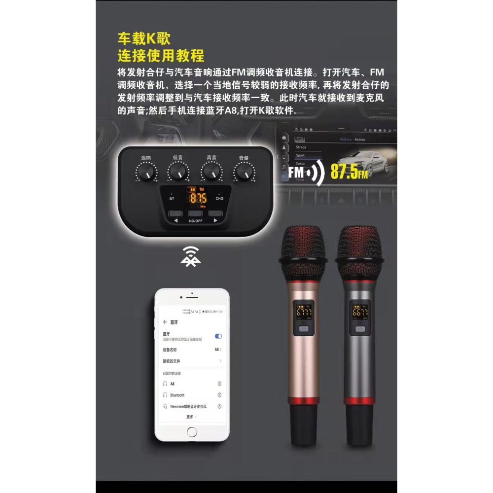 【台灣現貨】車載&電視＆電腦連接歡唱 車載K歌神器 FM全頻支援&AUX輸入 雙麥克風組合-細節圖7