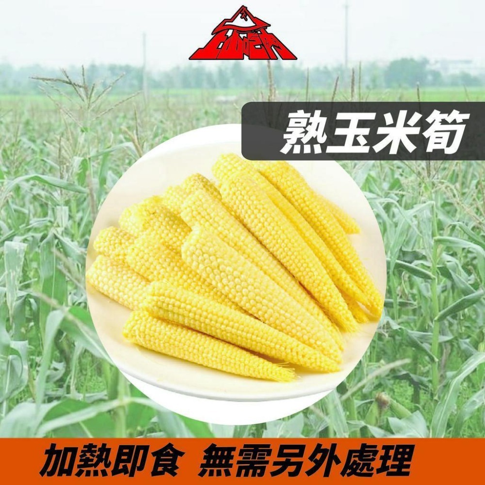 『上山吃肉』冷凍鮮蔬 |戶外露營&小家庭日常皆可方便食用|IQF急速冷凍技術 更好保留蔬菜營養-細節圖2