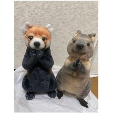 阿猴達可達 日本限定 袋鼠 浣熊 抱枕 大抱枕 仿真抱枕 38cm 動物園裡受歡迎的動物 全新正日貨-細節圖2