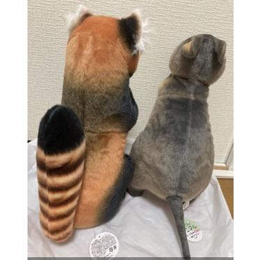 阿猴達可達 日本限定 袋鼠 浣熊 抱枕 大抱枕 仿真抱枕 38cm 動物園裡受歡迎的動物 全新正日貨-細節圖3