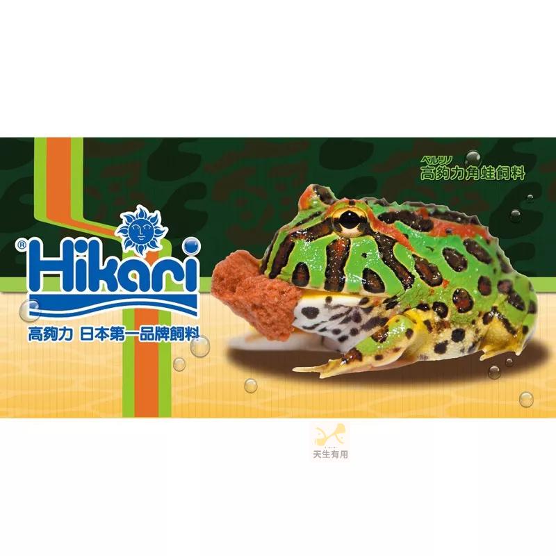 [現貨] Hikari 高夠力 角蛙飼料 40g 霸王角蛙 鐘角蛙 南美角蛙 兩棲爬蟲 快速軟化 健康主食 泡軟餵食 香-細節圖8