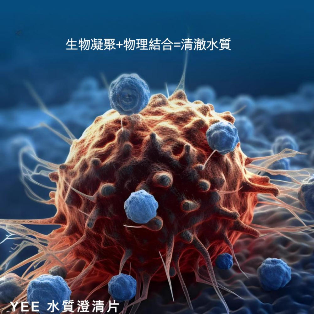 [現貨]YEE 除氯+水質調節錠 水質澄清片 除綠水 混濁 沉澱懸浮微粒 水穩 魚缸凈水劑 水質淨化 淨化片 水質穩定劑-細節圖6