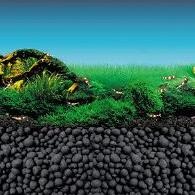 [現貨] 水草/水晶蝦專用黑土 台製/日製 精燒不崩解 1kg 5kg 散裝/原裝 水草缸/水晶蝦也可用-細節圖5