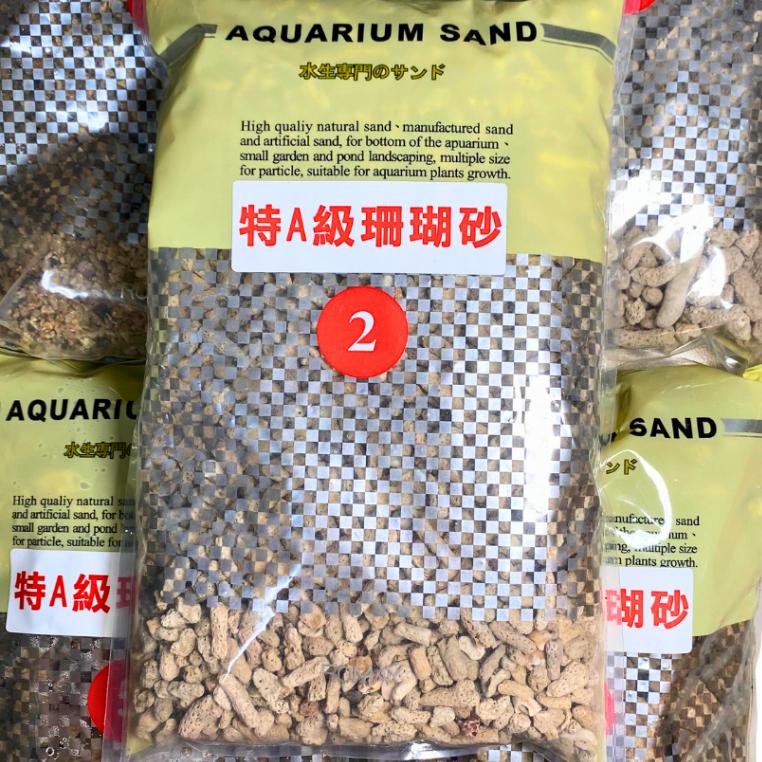 [現貨] 珊瑚骨/珊瑚砂 0-6號 增加KH 穩定水質 底材 貝殼砂 水族 園藝 裝飾 培菌 過濾 砂 珊瑚 海水缸-細節圖3
