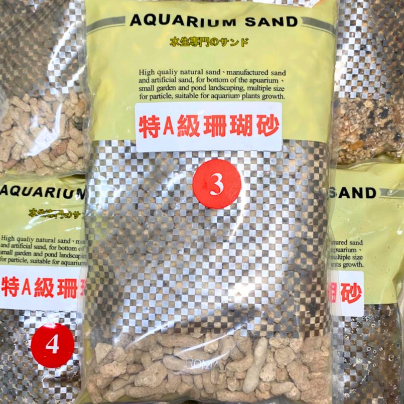 [現貨] 珊瑚骨/珊瑚砂 0-6號 增加KH 穩定水質 底材 貝殼砂 水族 園藝 裝飾 培菌 過濾 砂 珊瑚 海水缸-細節圖4