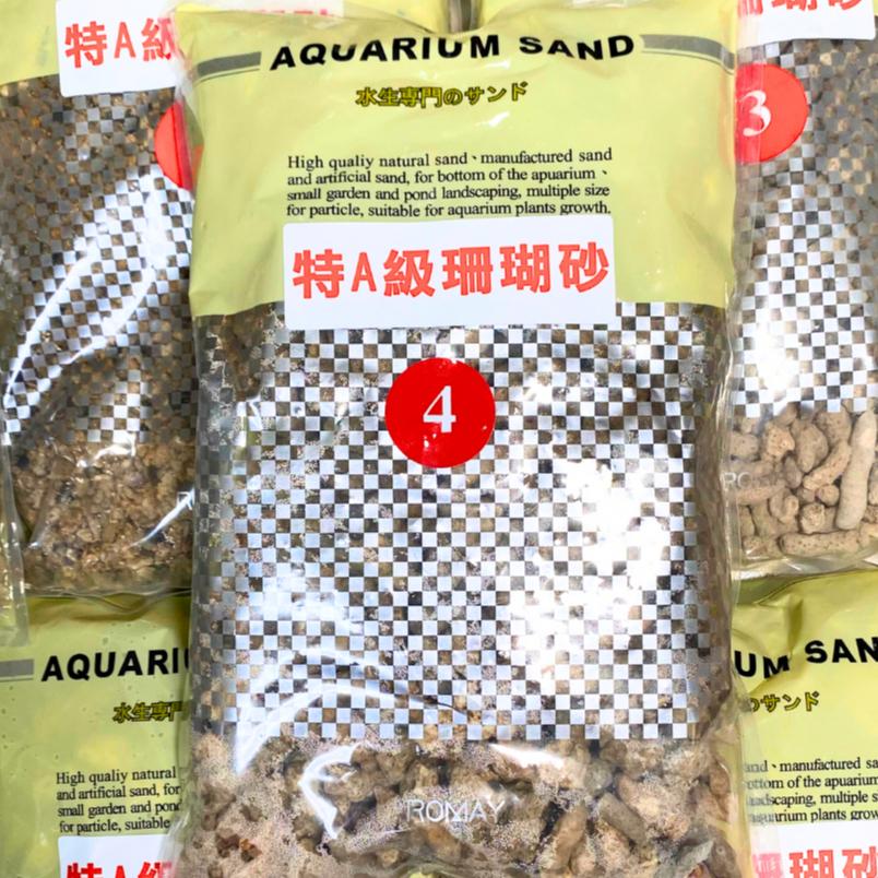 [現貨] 珊瑚骨/珊瑚砂 0-6號 增加KH 穩定水質 底材 貝殼砂 水族 園藝 裝飾 培菌 過濾 砂 珊瑚 海水缸-細節圖5