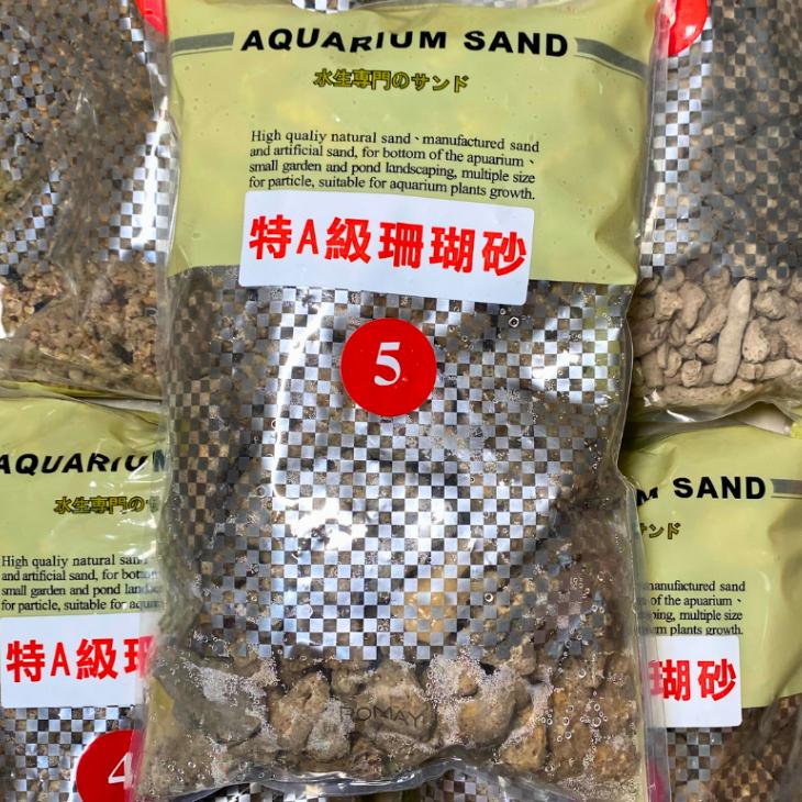 [現貨] 珊瑚骨/珊瑚砂 0-6號 增加KH 穩定水質 底材 貝殼砂 水族 園藝 裝飾 培菌 過濾 砂 珊瑚 海水缸-細節圖6