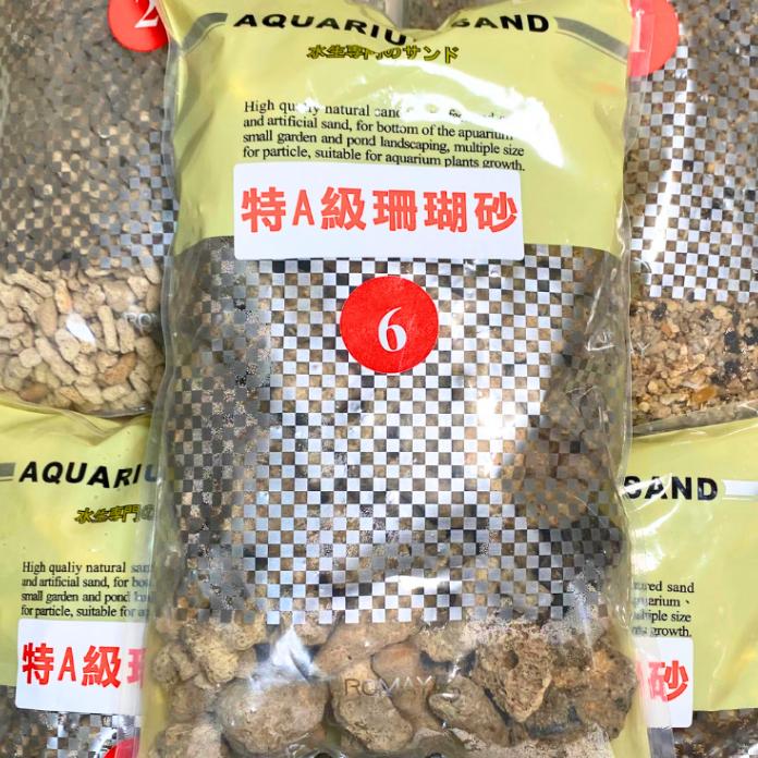 [現貨] 珊瑚骨/珊瑚砂 0-6號 增加KH 穩定水質 底材 貝殼砂 水族 園藝 裝飾 培菌 過濾 砂 珊瑚 海水缸-細節圖7