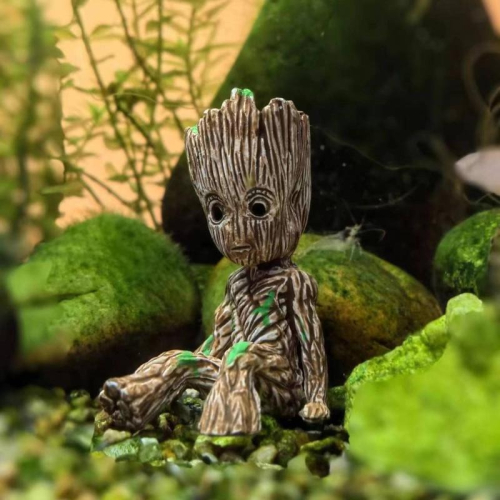 [現貨] Groot 小樹人 格魯特 公仔 星際異攻隊 樹人寶寶 園藝 拍攝道具 苔藓造景 水族造景 療癒小物 多肉