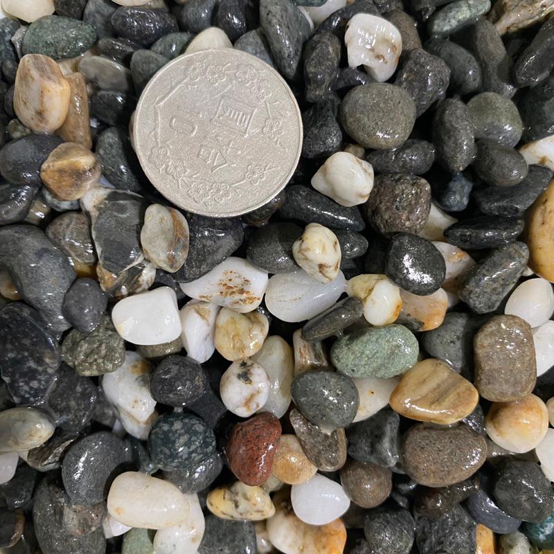 [底砂] 宜蘭水草砂  粗/細 2-5mm 水草造景底砂 過濾砂 水族 底沙 魚缸底沙 孔雀魚 園藝 盆栽鋪面 大磯石-細節圖3