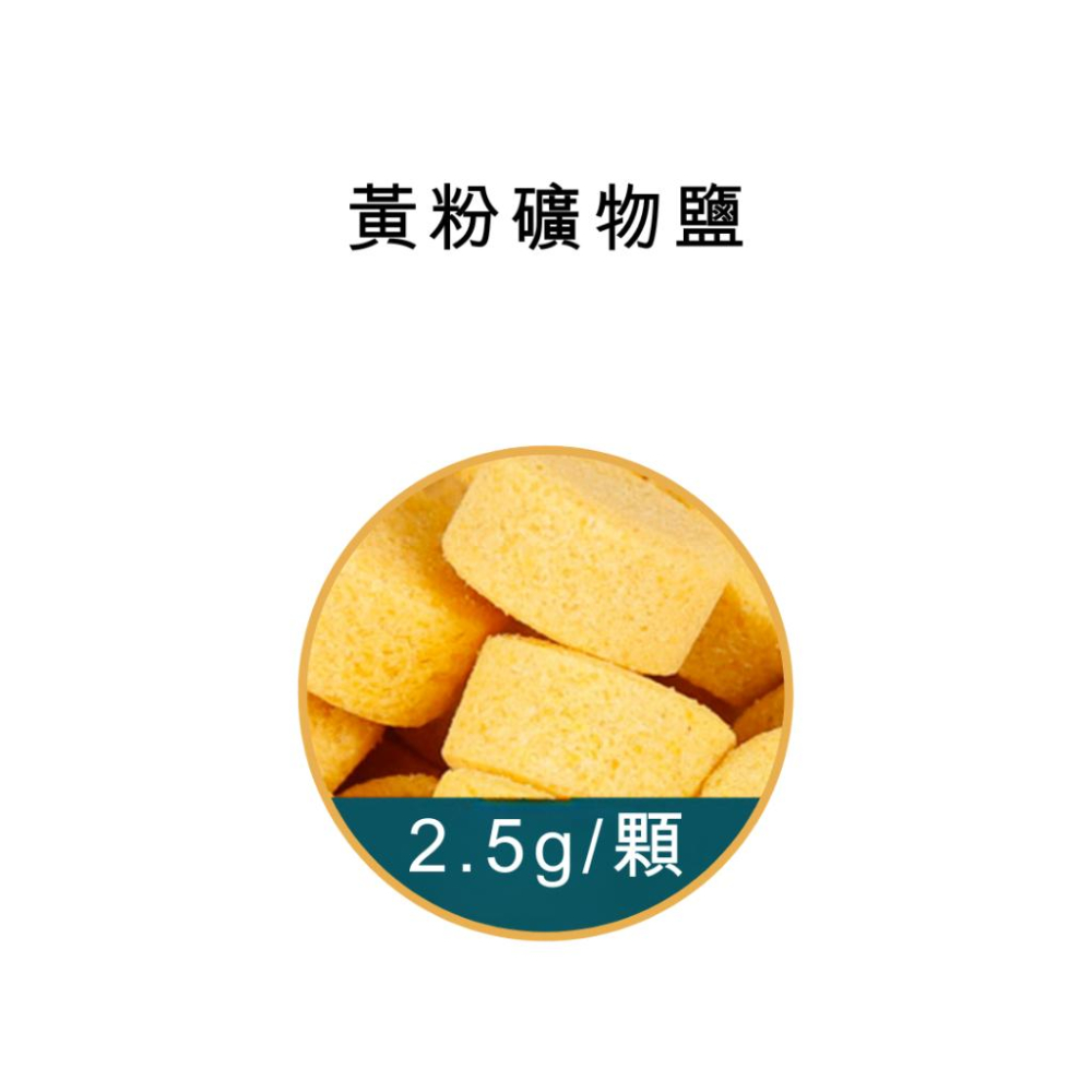 [現貨$2] 水族專用礦物鹽錠 礦物鹽 消毒鹽 維他命鹽 魚缸粗鹽 淨水 過濾 鹽球 鹽浴 鹽錠 鹽碇 水族檢疫 海鹽-細節圖5