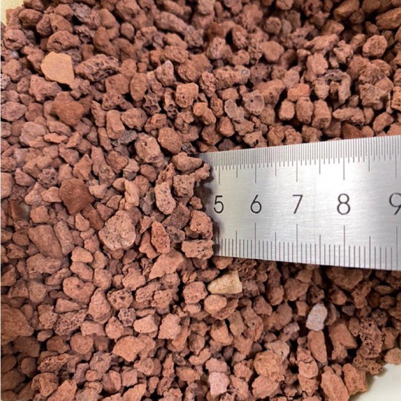 [現貨] 紅/黑 火山岩 粗/細顆粒 500g 水族園藝 大磯沙 砂石 造景 裝飾 底砂 底濾 1尺缸 2尺缸 多肉造景-細節圖2