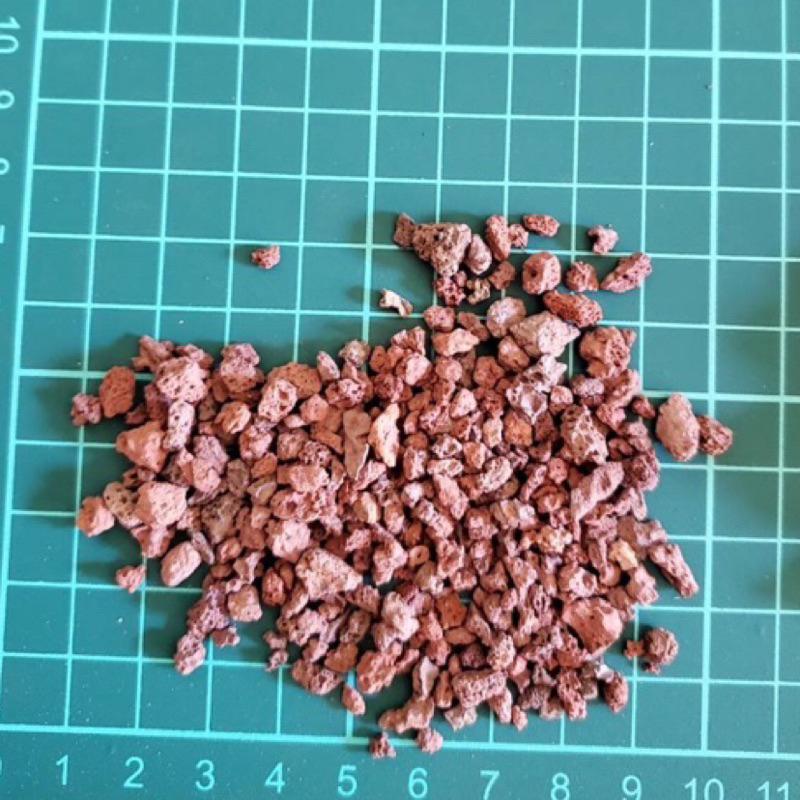 [現貨] 紅/黑 火山岩 粗/細顆粒 500g 水族園藝 大磯沙 砂石 造景 裝飾 底砂 底濾 1尺缸 2尺缸 多肉造景-細節圖4