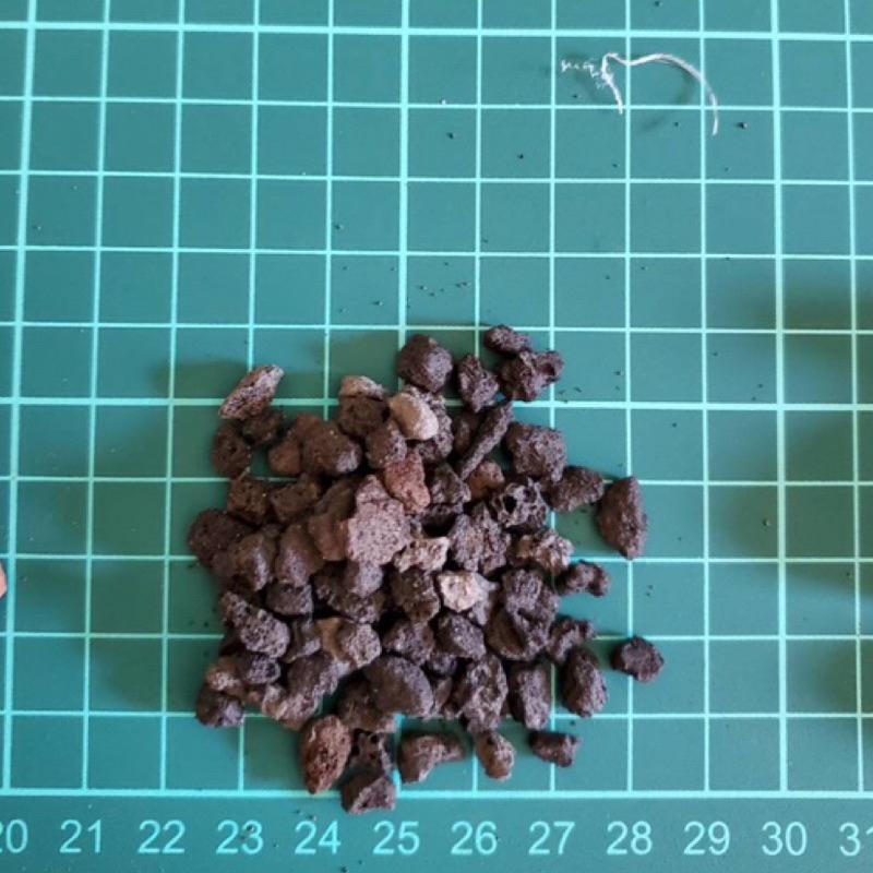 [現貨] 紅/黑 火山岩 粗/細顆粒 500g 水族園藝 大磯沙 砂石 造景 裝飾 底砂 底濾 1尺缸 2尺缸 多肉造景-細節圖5