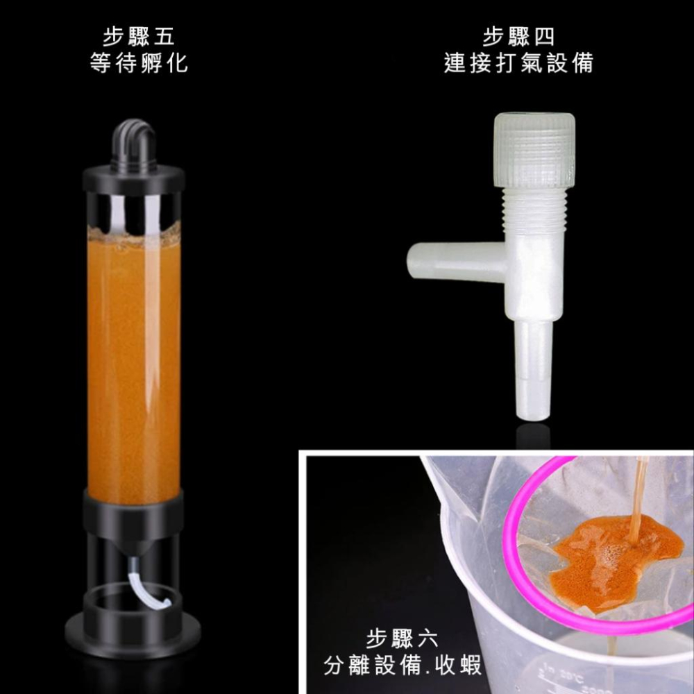 [現貨]新款豐年蝦卵孵化 缸內外豐年蝦孵化筒 豐年蝦孵化器 打氣 孵化桶 DIY孵化器 孔雀魚 鬥魚 仔魚 開口飼料-細節圖3