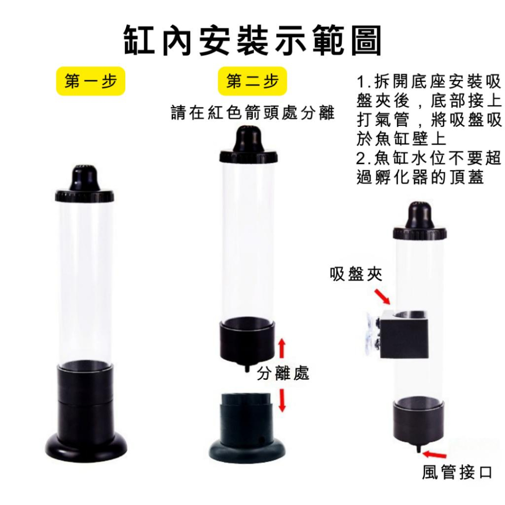 [現貨]新款豐年蝦卵孵化 缸內外豐年蝦孵化筒 豐年蝦孵化器 打氣 孵化桶 DIY孵化器 孔雀魚 鬥魚 仔魚 開口飼料-細節圖4