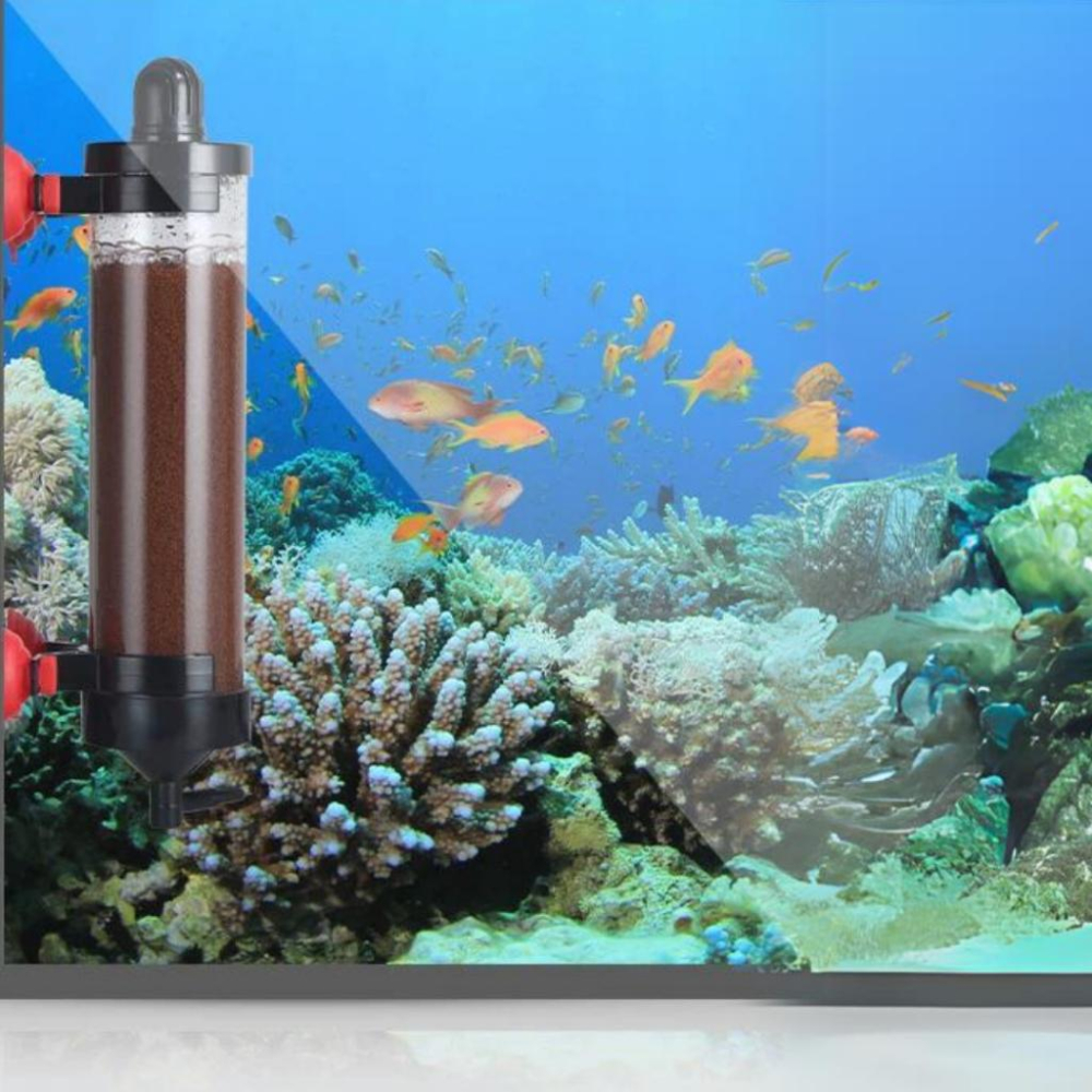 [現貨]新款豐年蝦卵孵化 缸內外豐年蝦孵化筒 豐年蝦孵化器 打氣 孵化桶 DIY孵化器 孔雀魚 鬥魚 仔魚 開口飼料-細節圖6