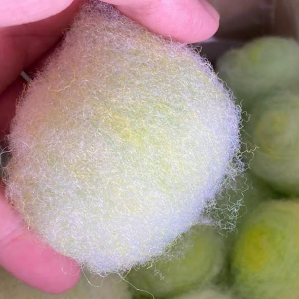 [現貨] 德國Sera 生物過濾球 單顆(散裝) 外掛/圓筒/上部過濾 1顆對應30L水量 快速去除懸浮物質及浮游藻類-細節圖3