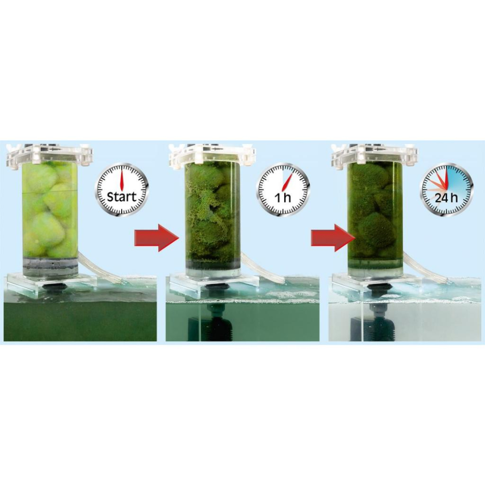 [現貨] 德國Sera 生物過濾球 單顆(散裝) 外掛/圓筒/上部過濾 1顆對應30L水量 快速去除懸浮物質及浮游藻類-細節圖6