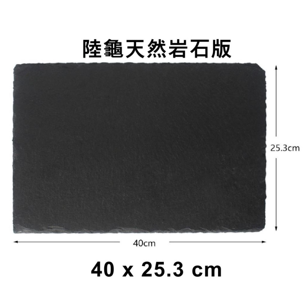 [新上現貨] 陸龜岩石板 10-40cm 天然石材陸龜石板 磨甲 食盤 休息板 曬背板 菜盤 爬蟲石板-細節圖4