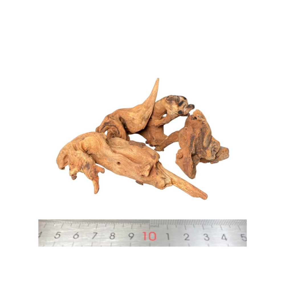 [現貨] 天然小型紫柚木 速沈 5-15cm  蝦木 草缸 裝飾 小沉木 可綁默絲 黏水草 樹棲爬蟲守宮 水族-細節圖2